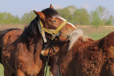 Similar image 21887113