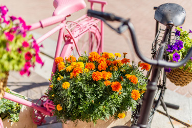 Similar image 21882727