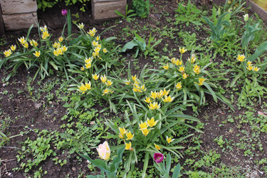 Similar image 21882335