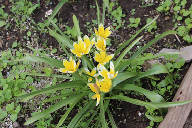 Similar image 21882336