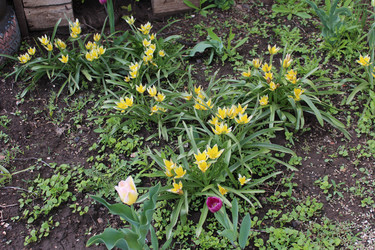 Similar image 21882337