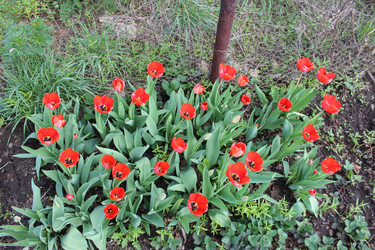 Similar image 21882338