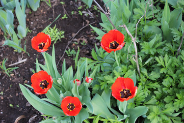 Similar image 21882339