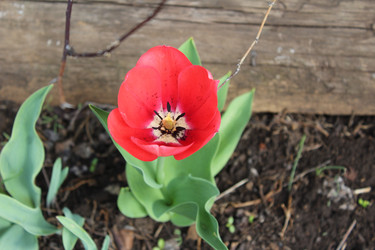 Similar image 21882340