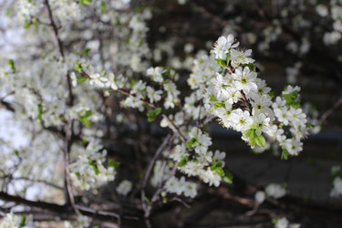 Similar image 21882341