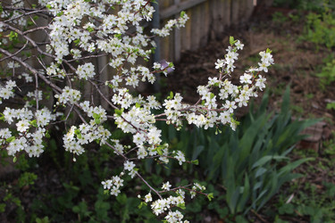 Similar image 21882343