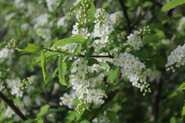 Similar image 21882344