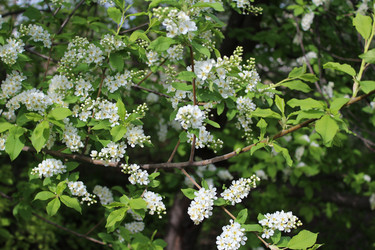 Similar image 21882346