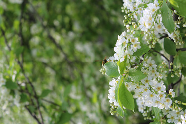 Similar image 21882347