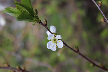 Similar image 21882348