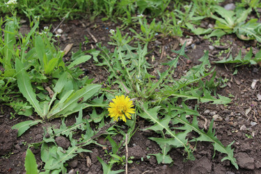 Similar image 21882349