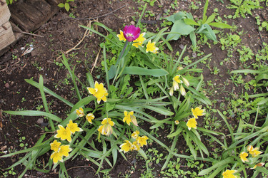 Similar image 21882352