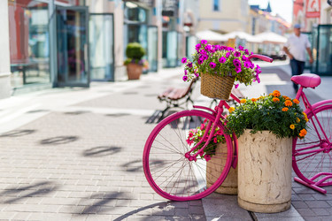 Similar image 21884395