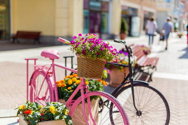 Similar image 21884400