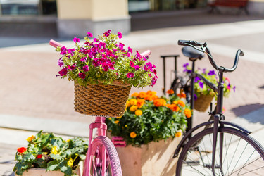 Similar image 21884403