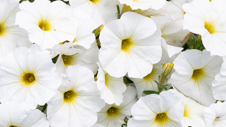 Similar image 21882551