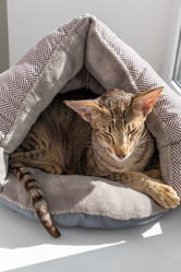 Similar image 21882552