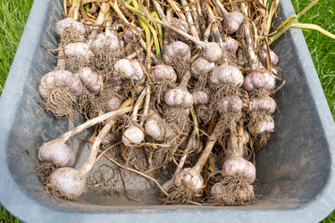 Similar image 21882553