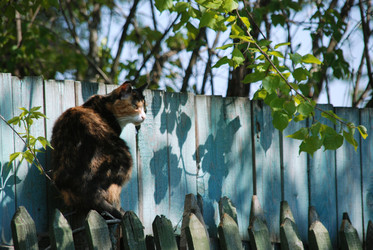 Similar image 21882181