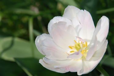 Similar image 21882182