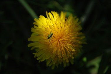 Similar image 21882183