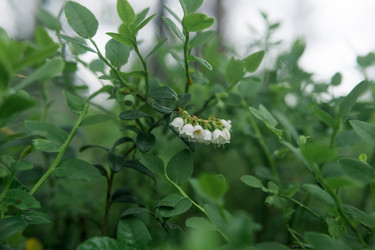 Similar image 21882354