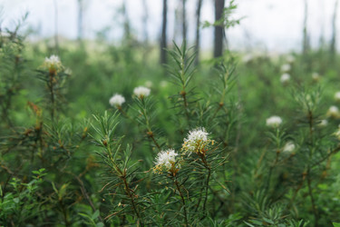 Similar image 21882355