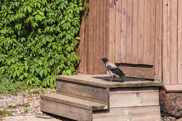 Similar image 21882457