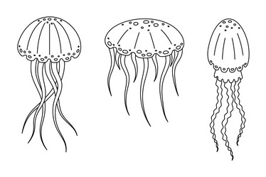 Similar image 21890356