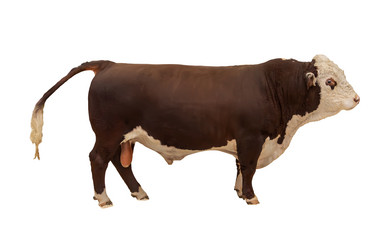 Similar image 21882760