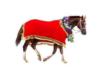 Similar image 21882762