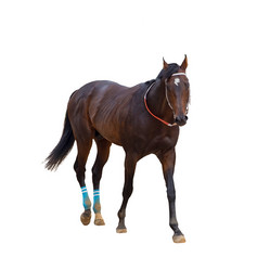 Similar image 21882769