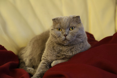 Similar image 21882478