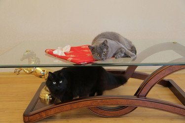 Similar image 21882479