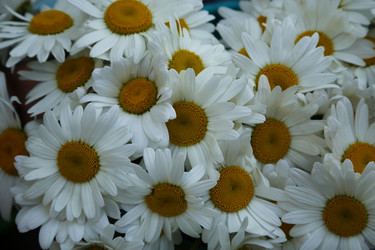 Similar image 21883732