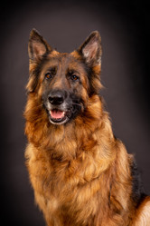 Similar image 21885243