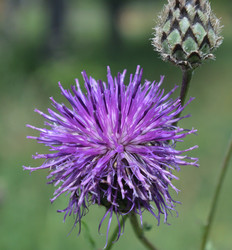 Similar image 21882497