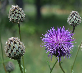 Similar image 21882499