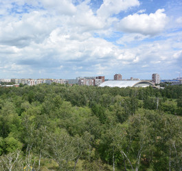 Similar image 21882507