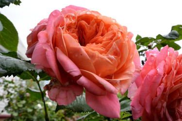 Similar image 21882515