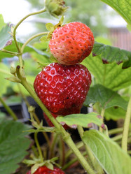 Similar image 21882517