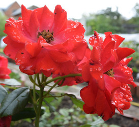 Similar image 21882518