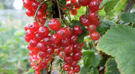 Similar image 21882519