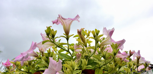 Similar image 21882554