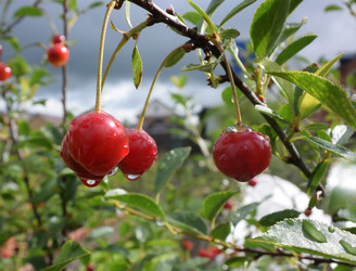 Similar image 21882772