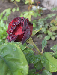 Similar image 21882773