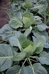 Similar image 21882774