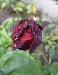 Similar image 21882775