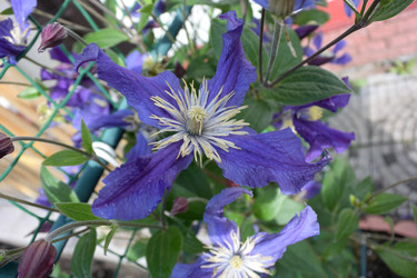 Similar image 21882776