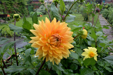 Similar image 21882779